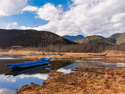 BigWins Casino Mobiele App